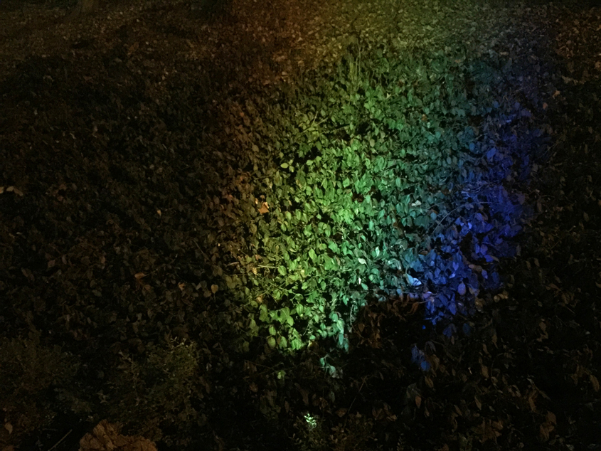 wonwoolee_night_walk_with_rainbow03